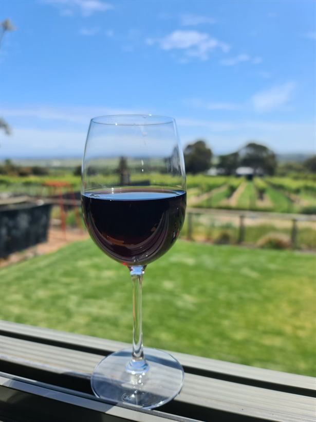 Glass of red wine on the window ledge with vines and paddocks beyond